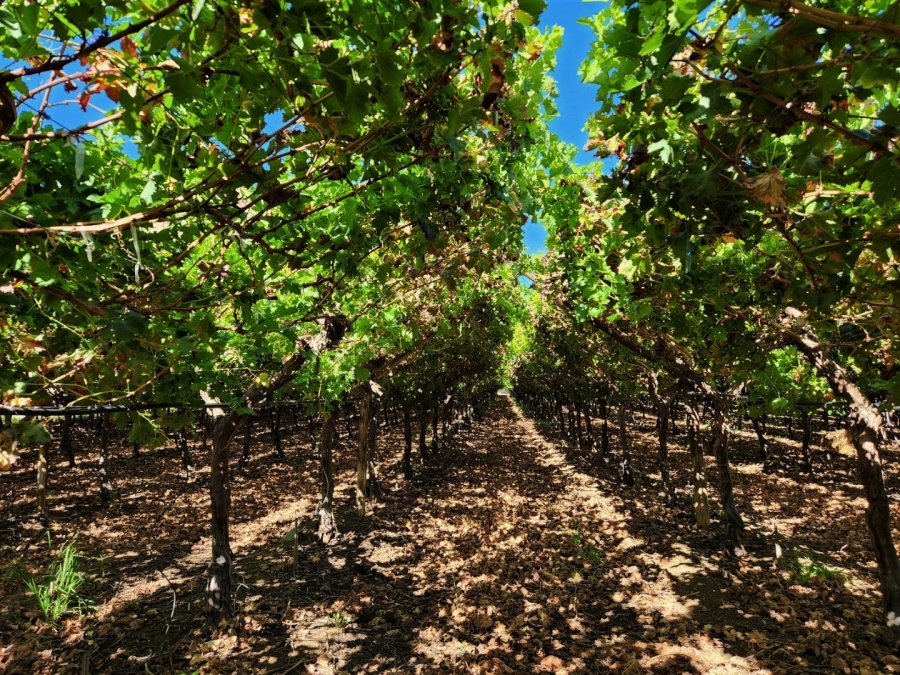 Commercial Property for Sale in Kakamas Rural Northern Cape